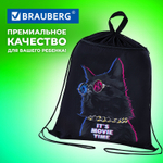 Мешок для обуви BRAUBERG с петлёй карман на молнии 47х37 см "Movie time" (3 штуки в упаковке)