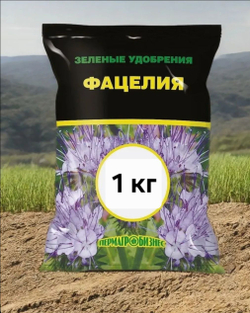 Фацелия сидерат семена, 3 кг медонос