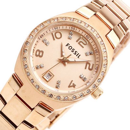 Am4508 fossil store