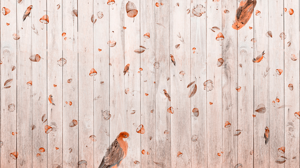 Коллекция WONDERLAND