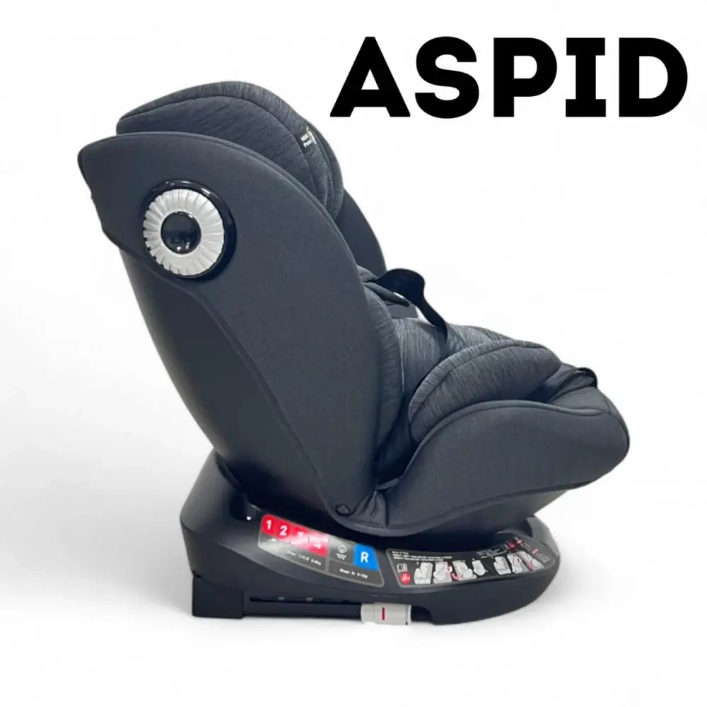 Автокресло Bubago Aspid / BG 170-1 (черный)