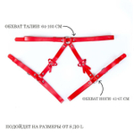 Красная портупея «Оки-Чпоки» с бантиками (Размер: S-M-L) (Цвет: красный)