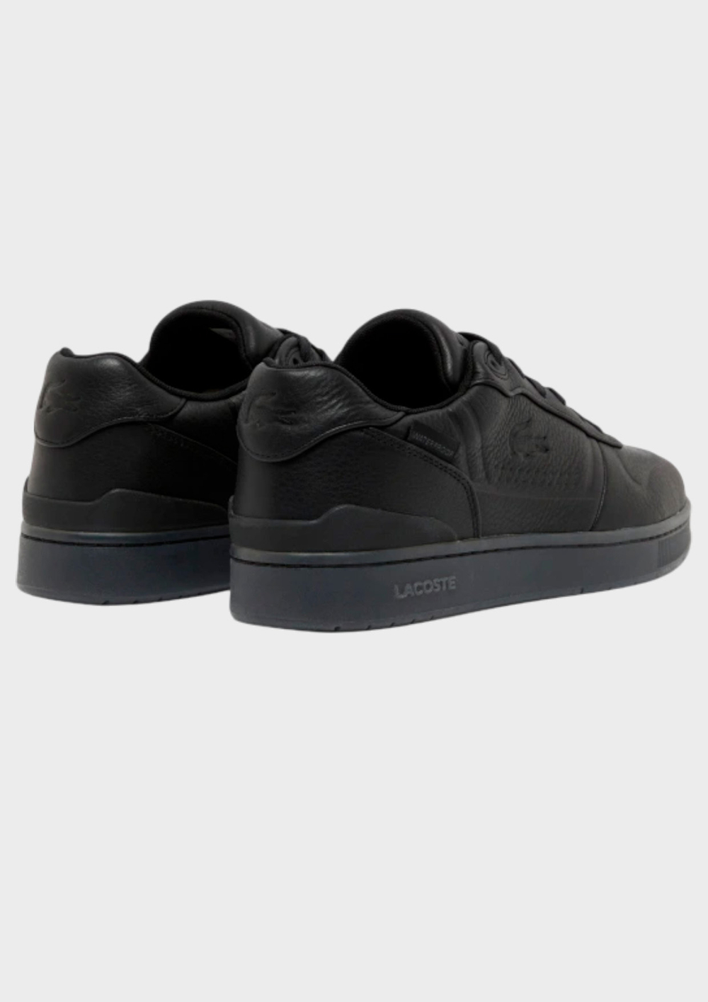 Кроссовки LACOSTE T-Clip Sheeld 225 1