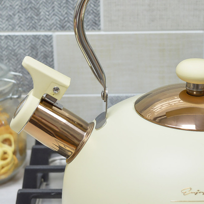 Чайник 2,5л нерж со свистком, индукция, 914-160