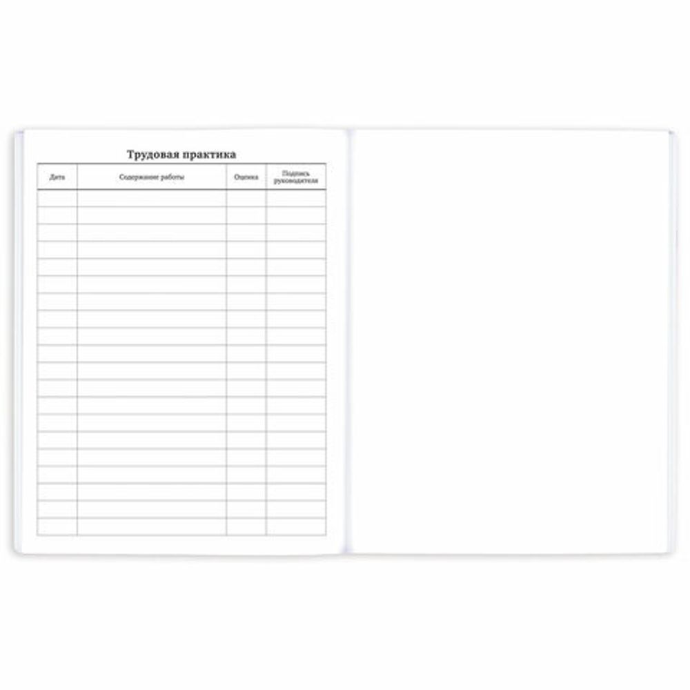 Дневник 1-11 класс 40 л., на скобе, ПИФАГОР, обложка картон, МИКС "Универсальный", 107139