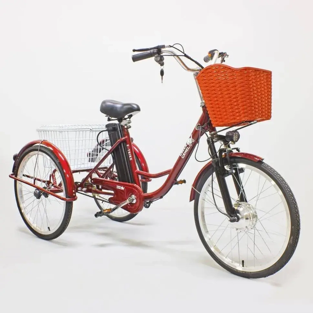 Электровелосипед Green Camel Трайк-24