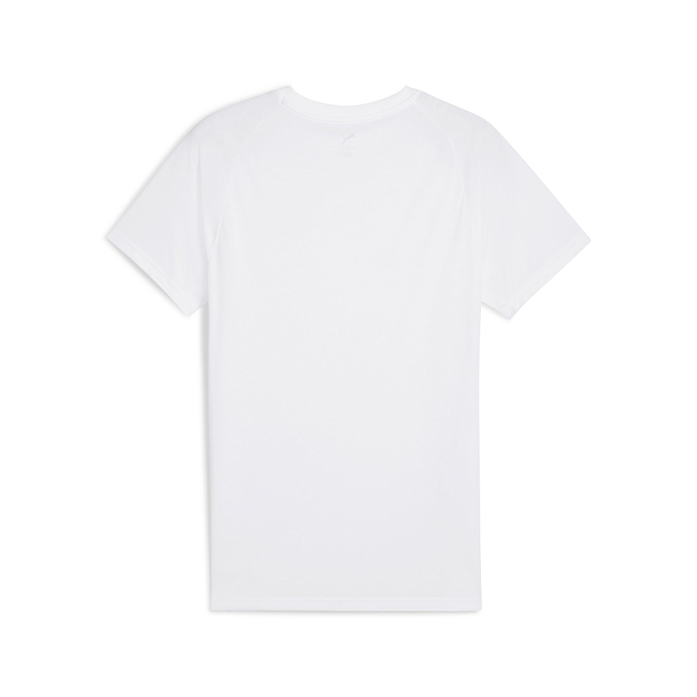 Мужская футболка PUMA EVOSTRIPE Tee