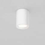 Потолочный светильник Technical C001CL-GU10-W