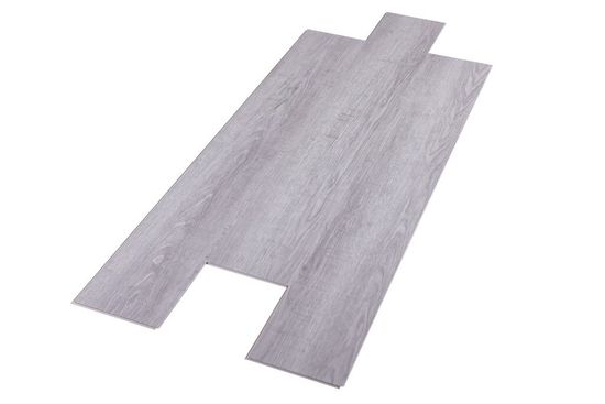 SPC ламинат Evofloor Optima Click - Дуб Серебряный