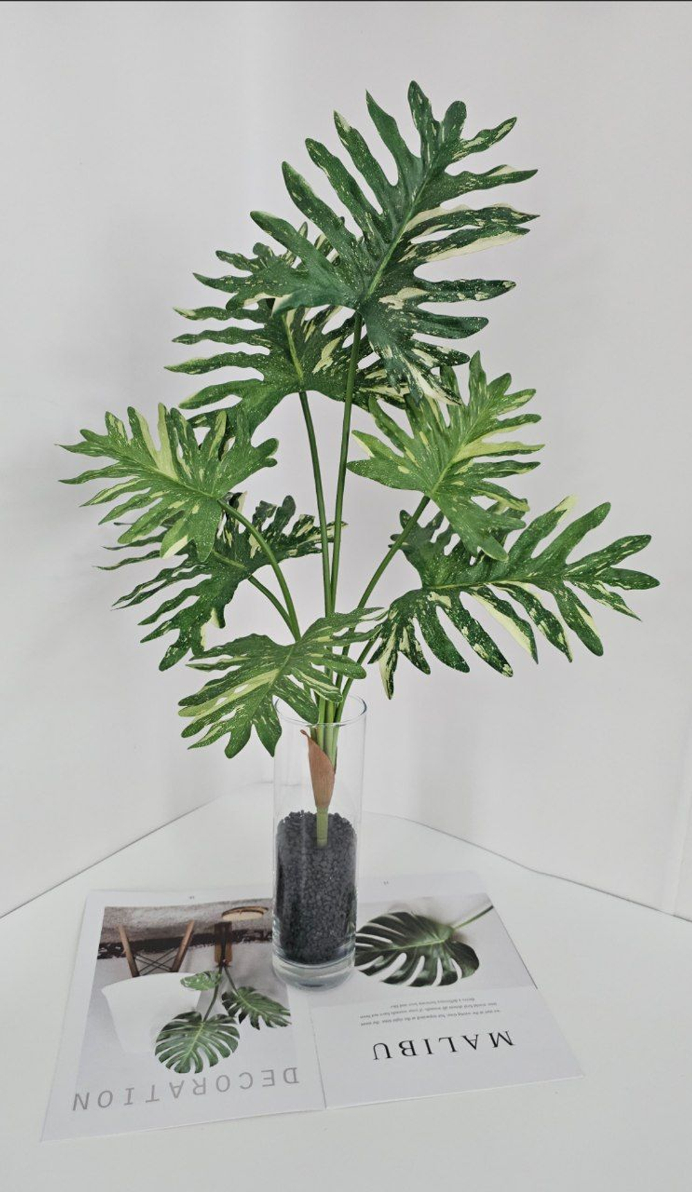 Филодендрон / Арт 6369