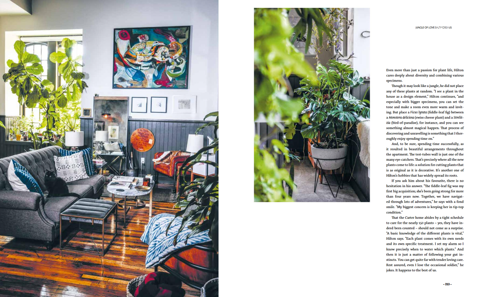 Ultimate Wonder Plants: Your Urban Jungle Interior
