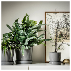 IKEA CITRUSFRUKT  (ИКЕА СИТРУСФРУКТ)  -  Цветочный горшок с подставкой, серый, 12 см
