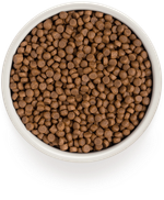 GRANDORF 4 вида мяса Для домашних кошек