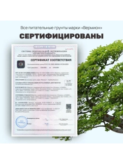 Органический грунт для кипарисов и хвойных растений 5 л