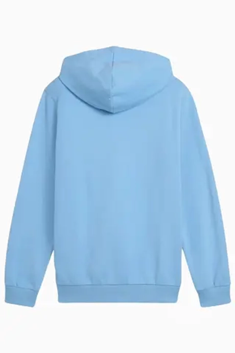 Кофта Puma Manchester City 24/25 ftblNRGY - голубой