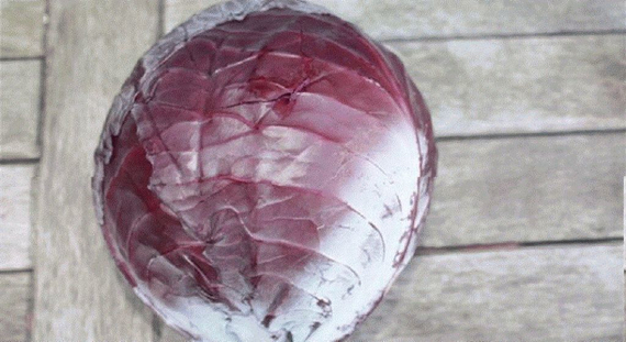 РОКСИ F1 семена капусты краснокочанной Seminis отзывы – фото 3