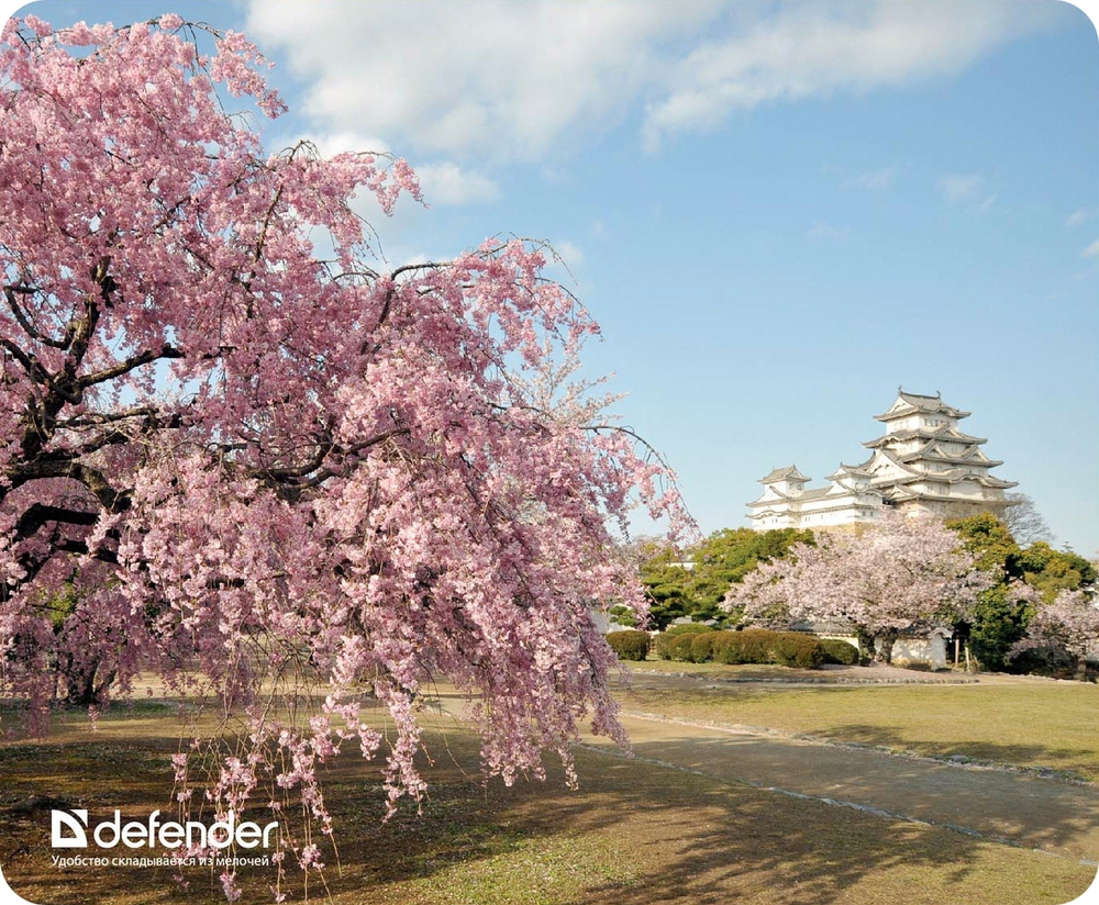 Коврик Defender Silk 230x190x1.6 мм, 10 видов