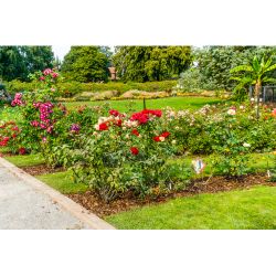 Тележка для шланга GF GF80605770 пластиковая для мешков | Аксессуары для полива Green Apple