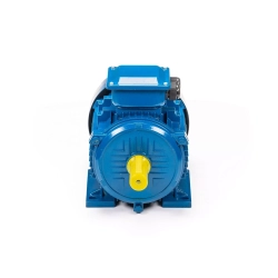 Электродвигатель 5АИ 100 L2 5,5/3000 IM1081
