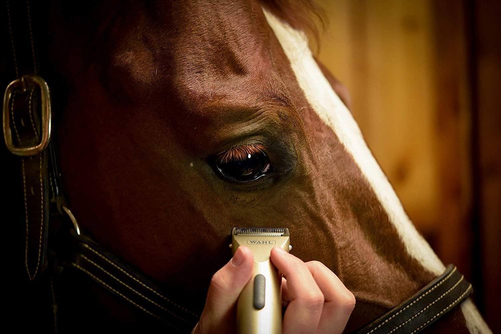 Триммер для стрижки животных Wahl miniArco (1565-0473) - 9