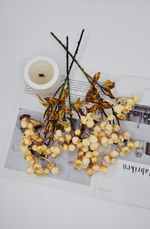 Ягоды / Арт 8051