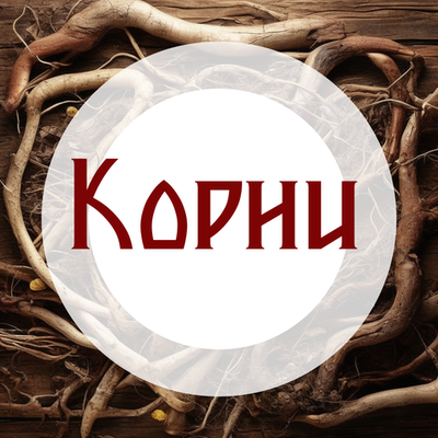 Корни