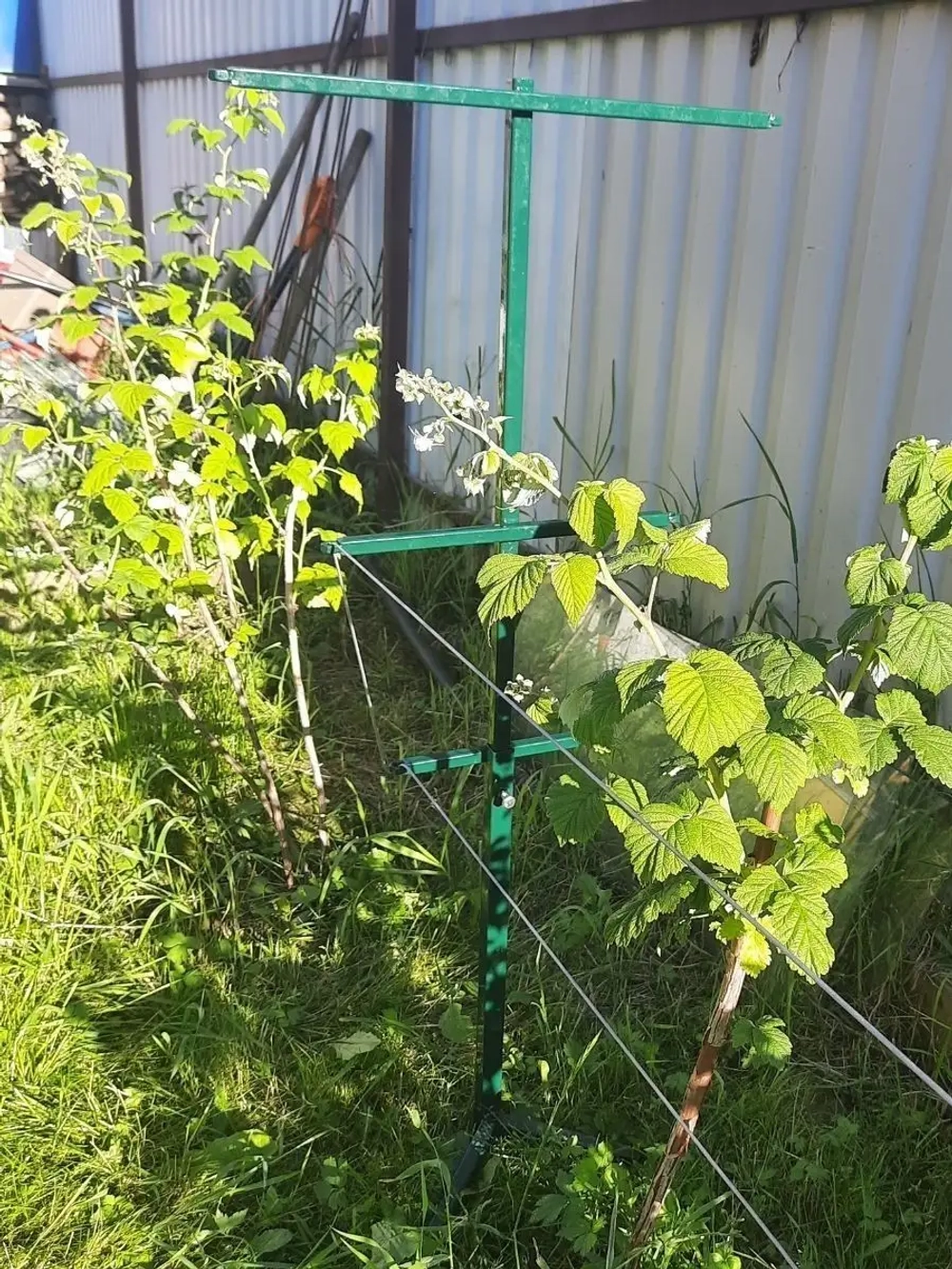 Шпалера для малины
