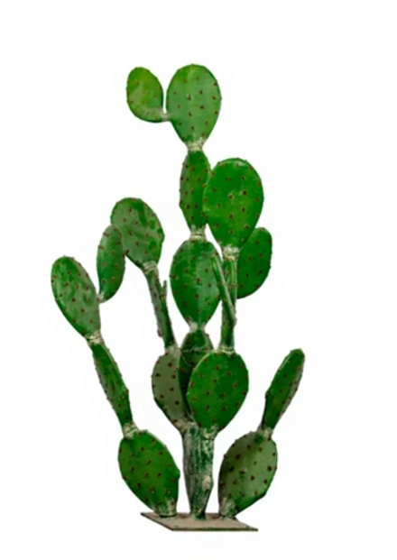 Кактус Опунция гигант 168см