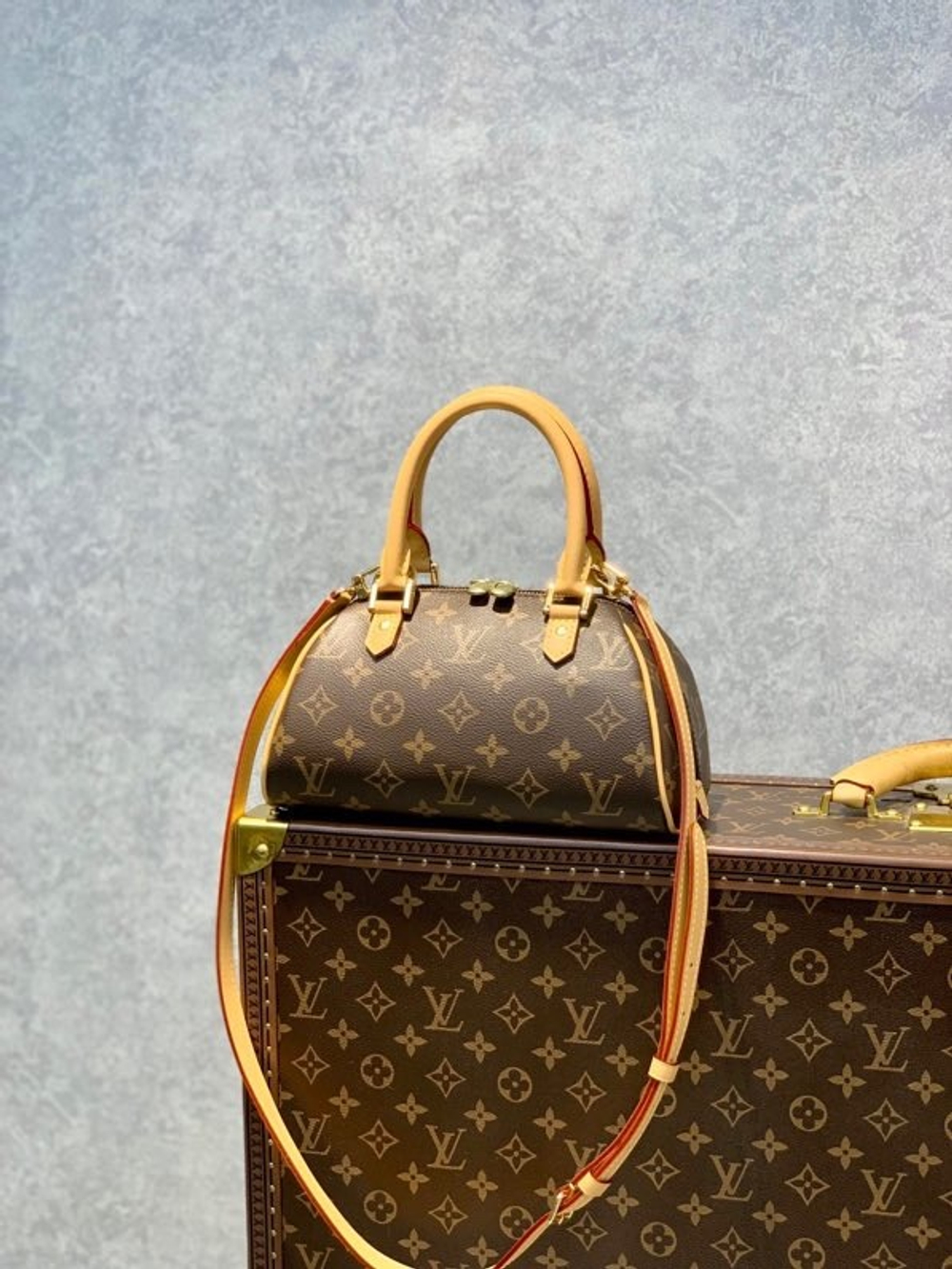 Louis Vuitton Ribera