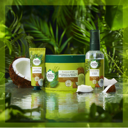 Herbal Essences Essences of Life Coconut Oil - увлажняющая маска для волос /   450  ml  / GTIN 8006540178492