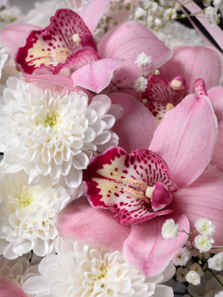 Безграничная благодарность