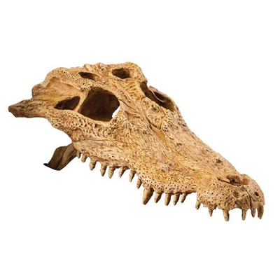 Hagen Exo Terra Crocodile Skull - декорация "Череп крокодила"