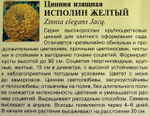 Цинния Исполин желтый 0,3 г СМЦ-324
