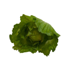 Лист салатовый