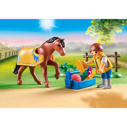 Коллекционный валлийский пони Playmobil 70523