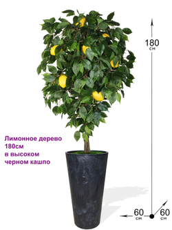 Искусственный Лимон 180см в высоком черном кашпо