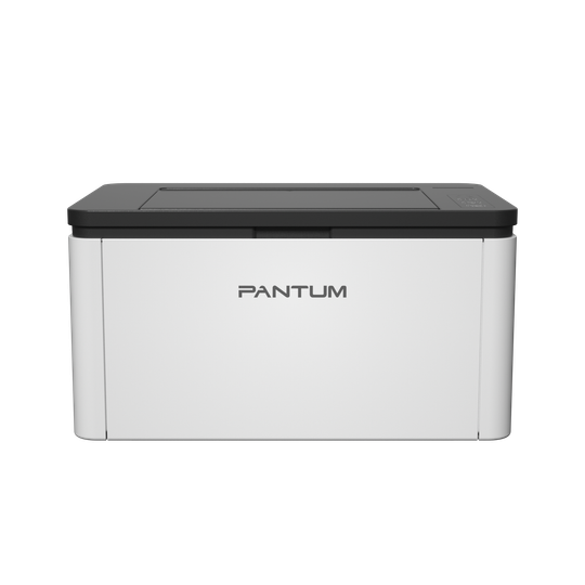 Принтер Pantum BP1800W