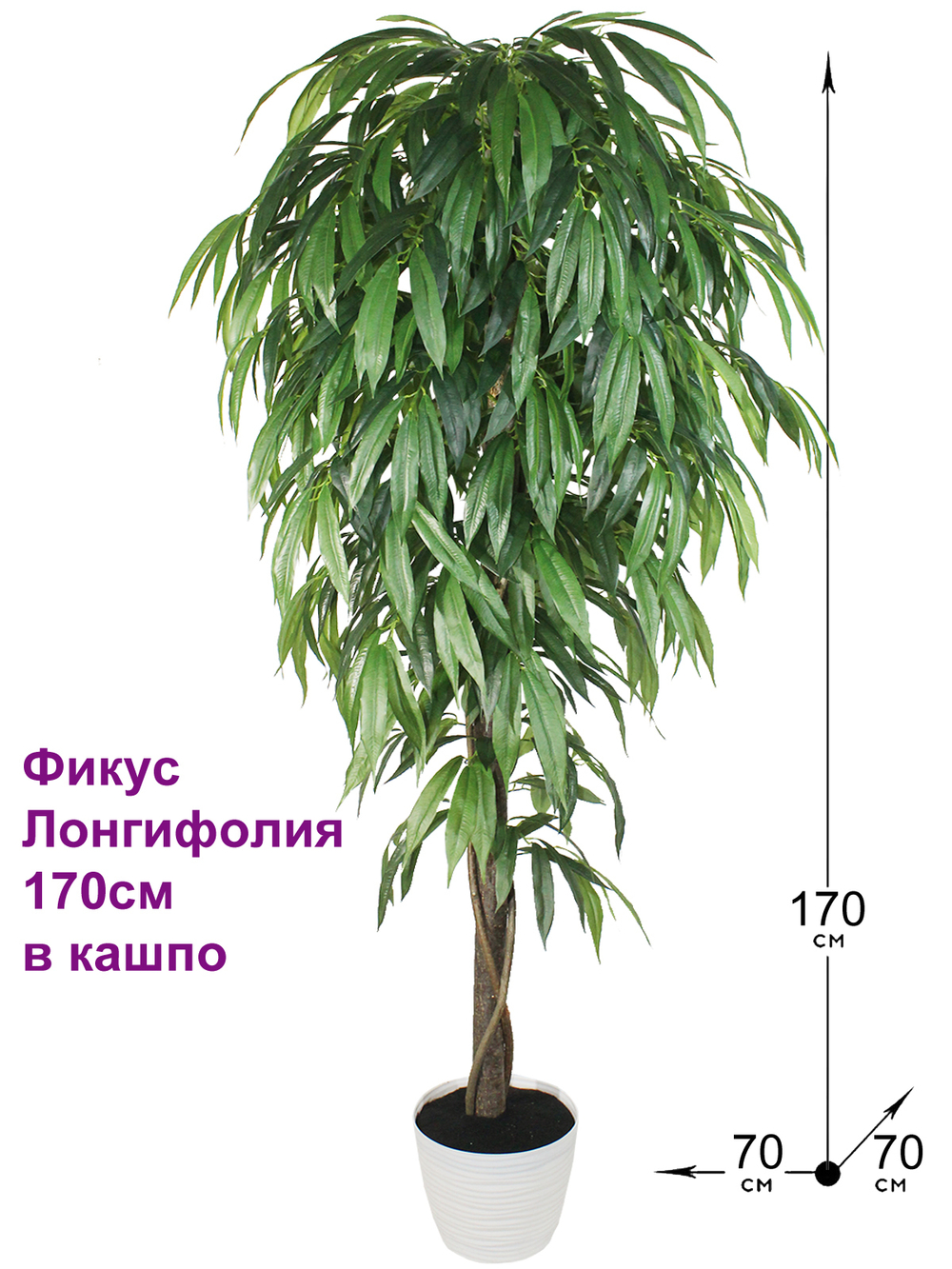 Искусственное дерево Фикус Лонгифолия 170см в кашпо