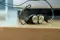 JH Audio 10X3 Pro