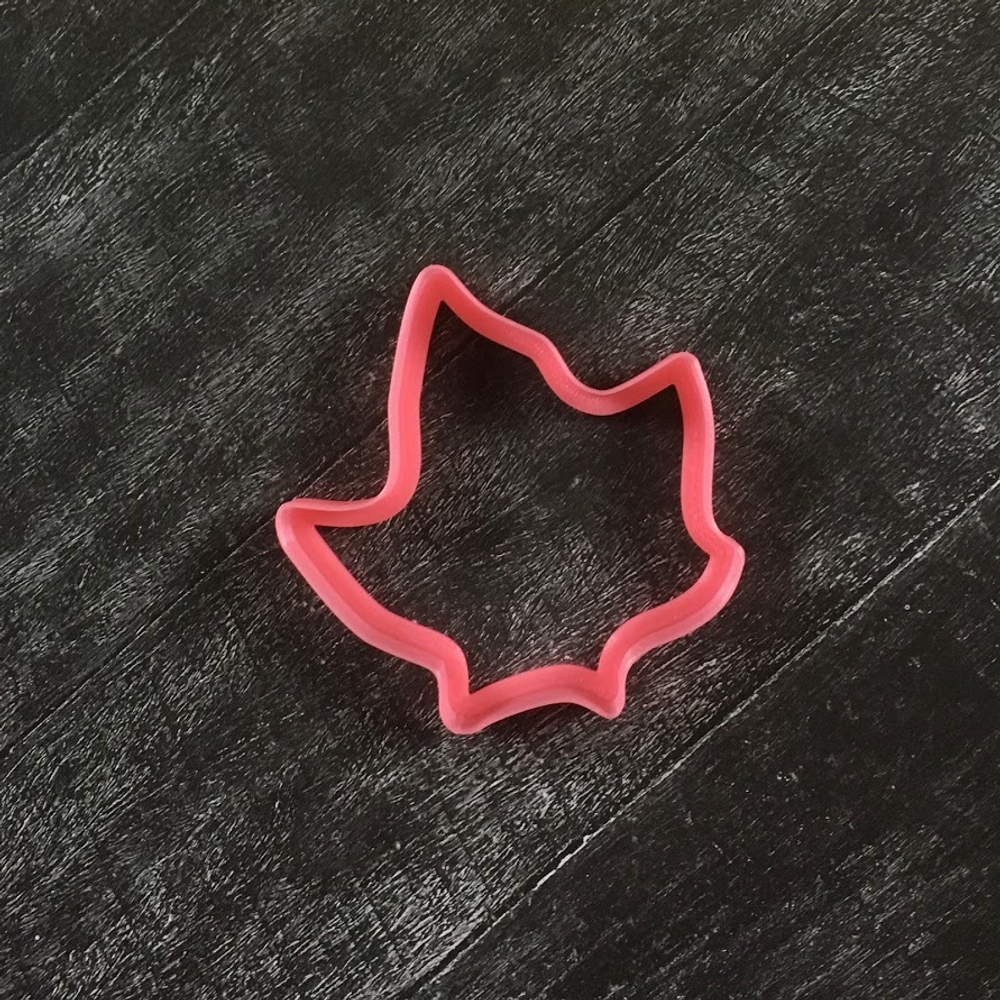 Лист №10 Кленовый с прожилками