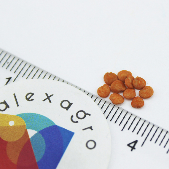 ЭПИК F1 семена баклажана (Seminis | Alexagro) – фото 11