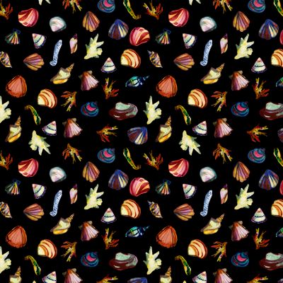 Ракушки акварельные