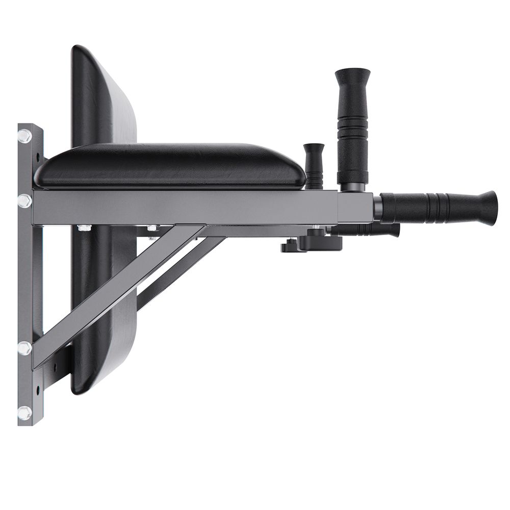 Брусья настенные DFC Homegym G294