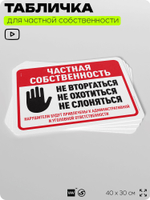Табличка для частной территории "Частная собственность", на дом, для участка, организаций, предупреждающая, 40х30 см, Silver Plane x Айдентика Технолоджи