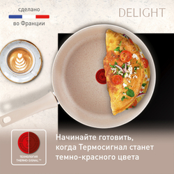 Сковорода Tefal Delight 24 см G2930402