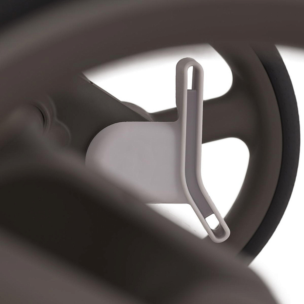 Детская коляска Anex Flo 2 в 1 Cesar