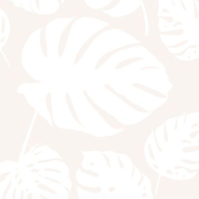 Белые листья монстеры на молочном фоне