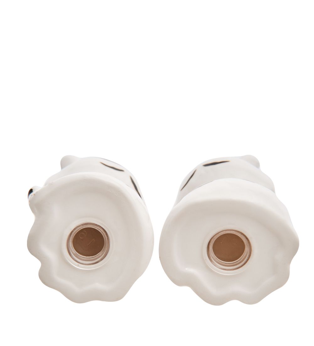 XA-631 Набор соль-перец «Пара тигров»