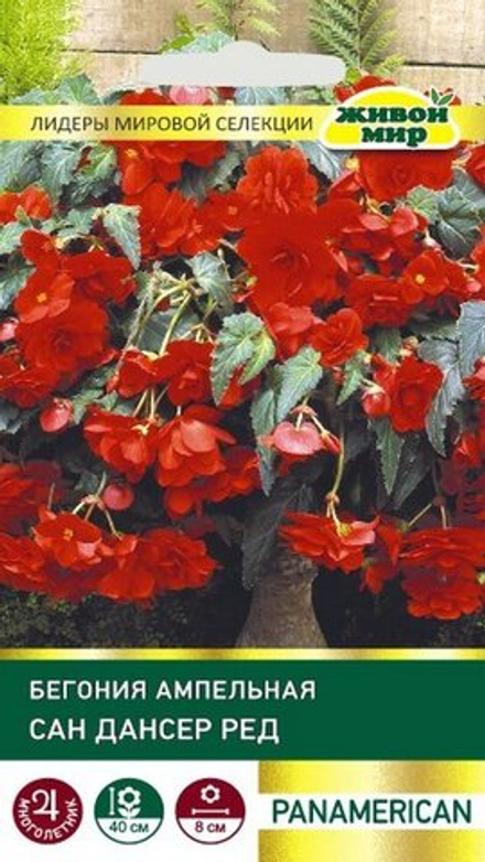 Бeгoния "ЖМ. Сaн Дaнcep F1 Рeд" 5шт, США.