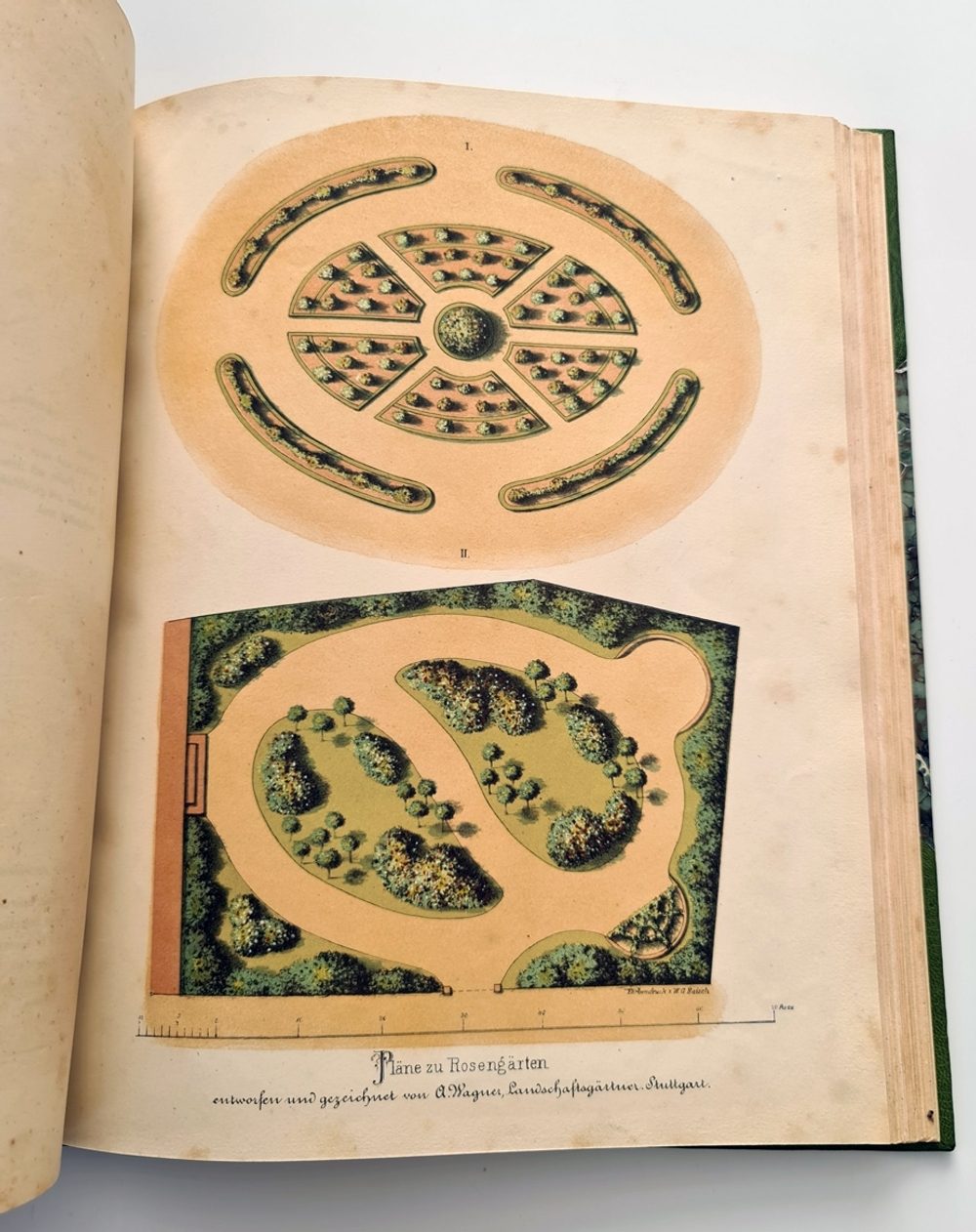 "Nestel`s Rosengarten. [  Сад роз Нестела]". E. Schweizerbartsche Verlagshandlung. 1869г.